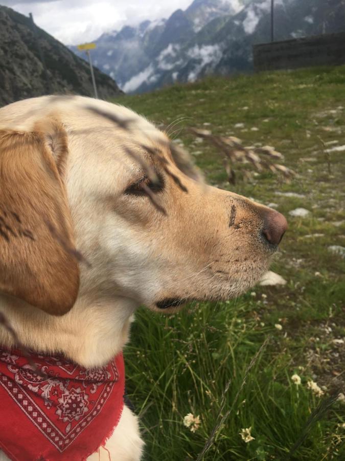 Pension Alpin Mandarfen Dış mekan fotoğraf